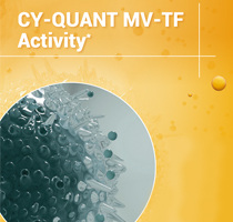 Image de la brochure du CY-QUANT MV-TF Activity de Stago