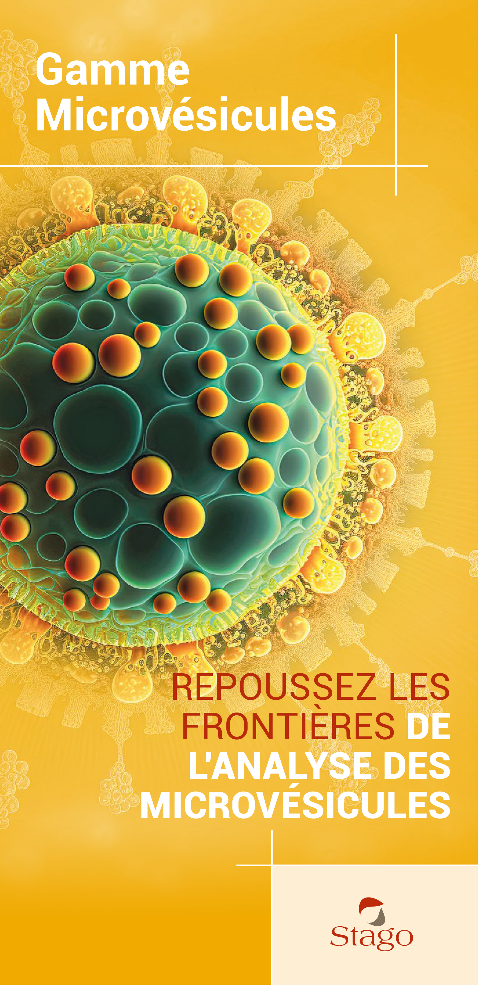 Téléchargez la brochure Gamme microvésicules