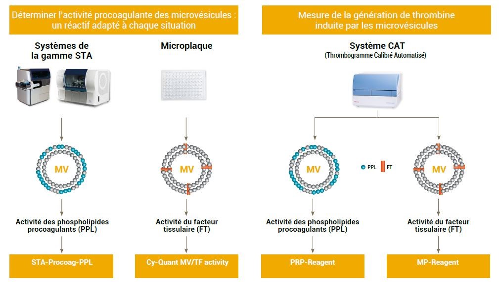 Extrait de la brochure Gamme Microvésicules représentant des Tests quantitatifs pour l’analyse des microvésicules. MP-Count Beads : une suspension de billes conçue pour le comptage absolu des microvésicules. Et la gamme Megamix en tant qu’outil d’étalonnage optimisé pour chaque type de cytomètre.